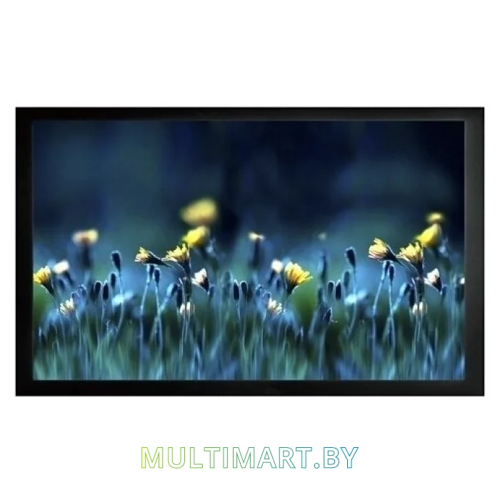 Проекционный экран CACTUS FrameExpert 113x200 (CS-PSFRE-200X113)